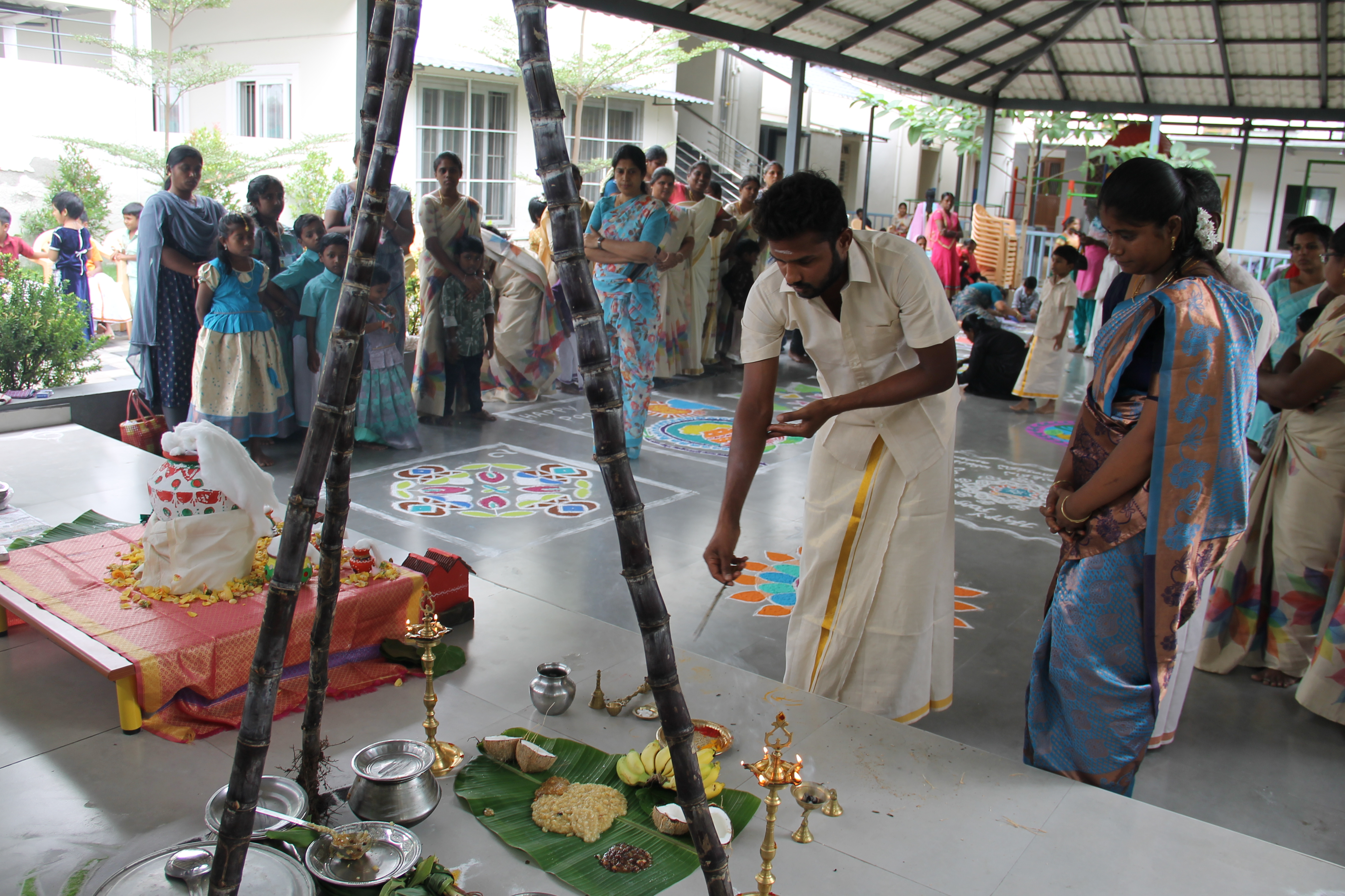 Pongal Thirunaal